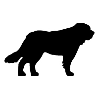 Saint Bernard Logo